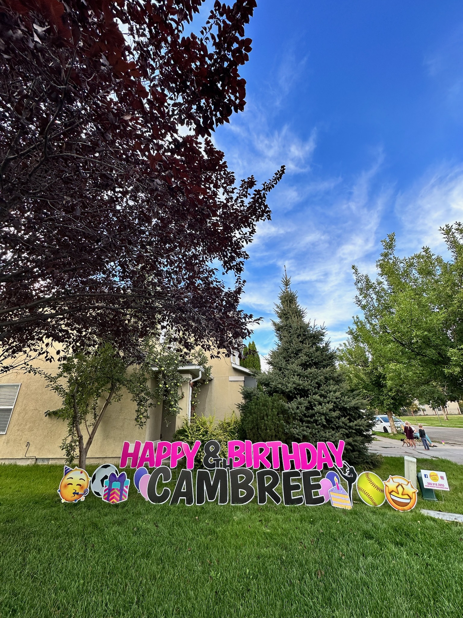 Happy 8th Birthday Cambree yard card display with colorful letters and birthday art in Boise Idaho